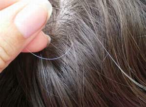 Myth white hair grows if plucked!
